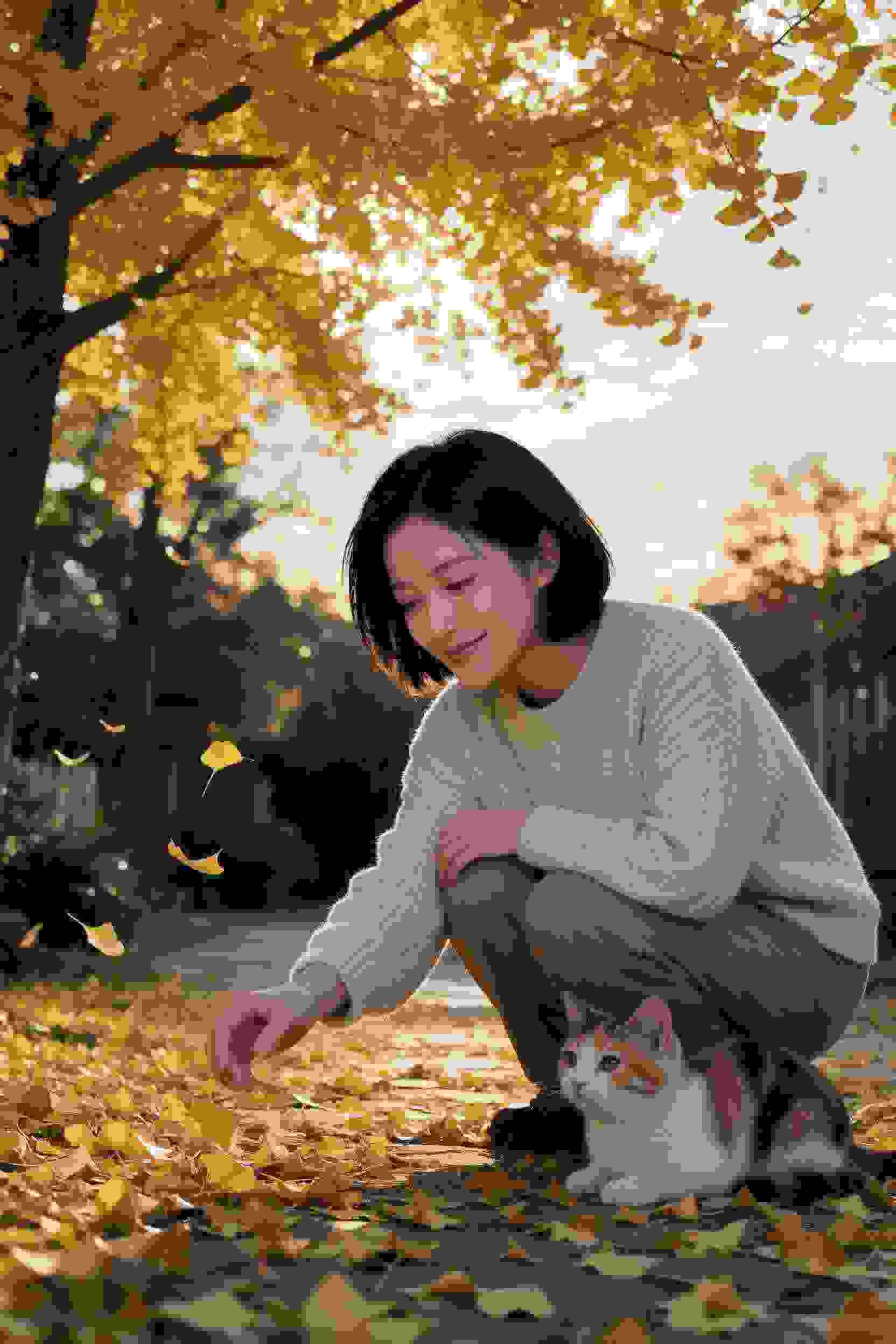 影视作品